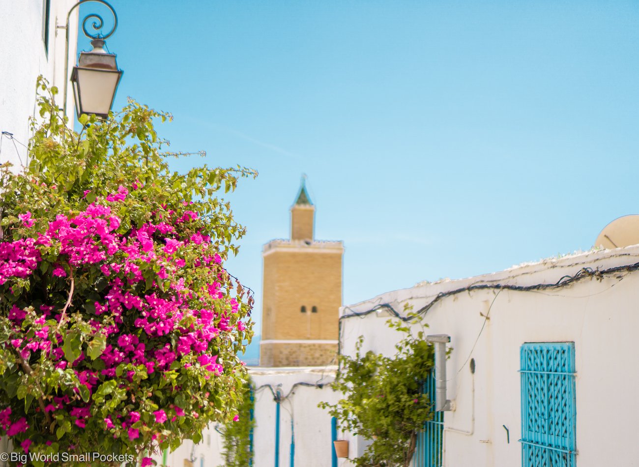 Planning to Visit Tunisia? Buy Your Visa Here and Start Packing!