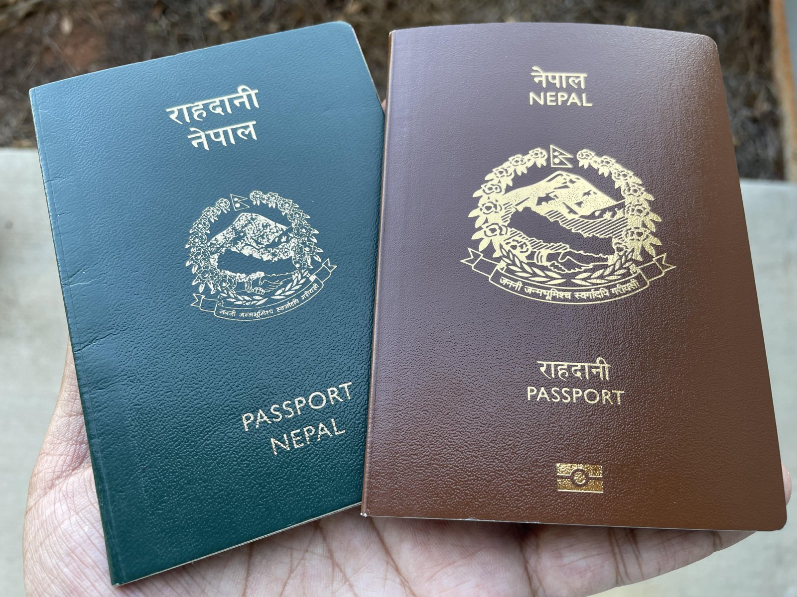 Need a Nepali passport? Order online now (Avoid the hassle, get it here)