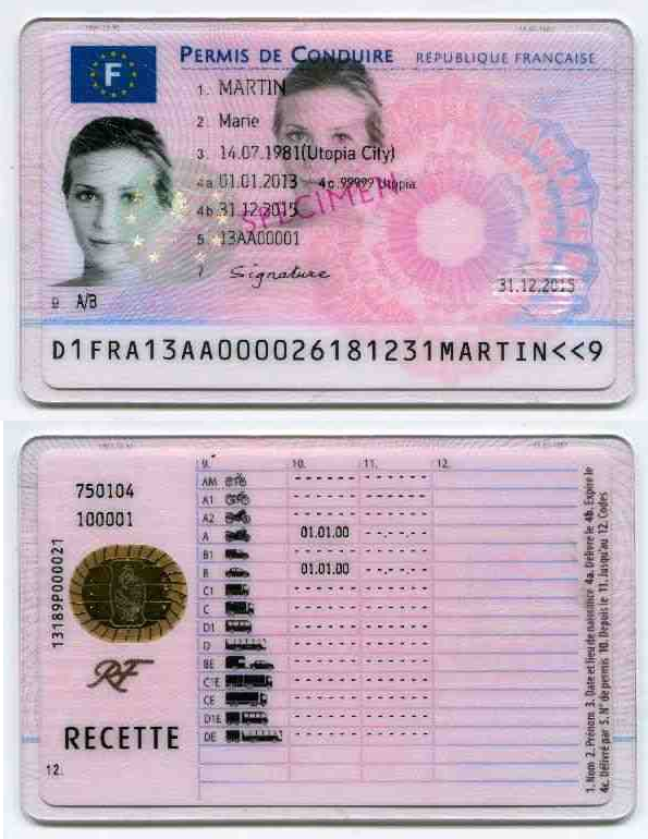 Best Way to Order a French Driving License Online in 2024