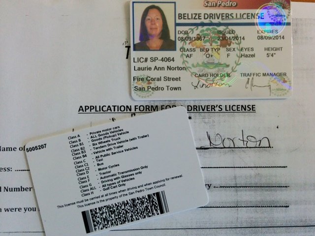 Buy Belize Drivers License Online: Get Your License Without Any Hassle