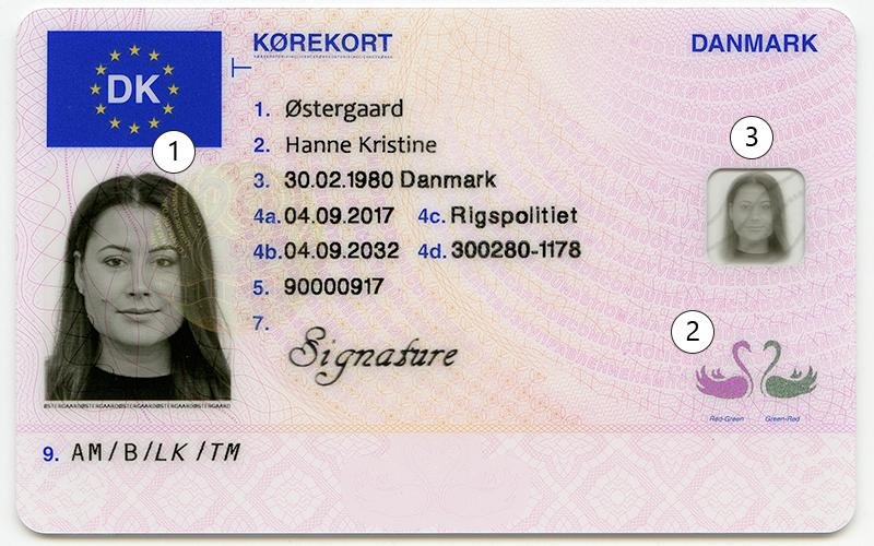 Looking to Order a Danish Driving License Online? Heres How