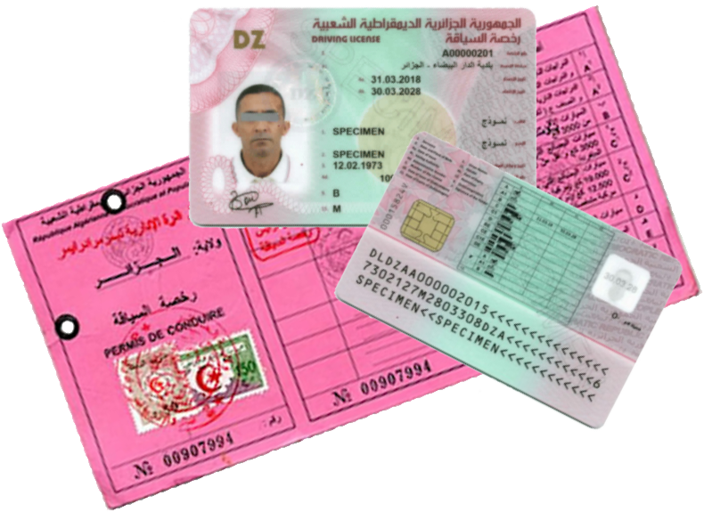 Looking to Buy Algerian Driving License? Heres What You Need to Know