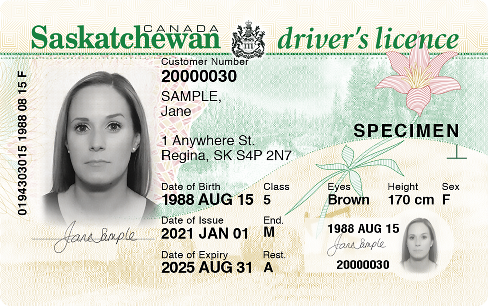 Want a License Quick? Buy Canadian Drivers License Online Now