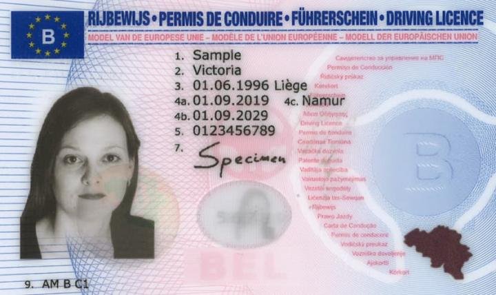 Safely Order a Belgian Driving License Online: A Complete Guide