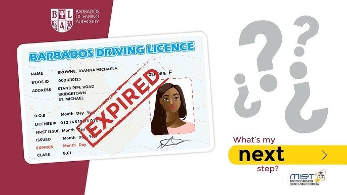 How to Order a Barbados Drivers License Online - A Quick Guide