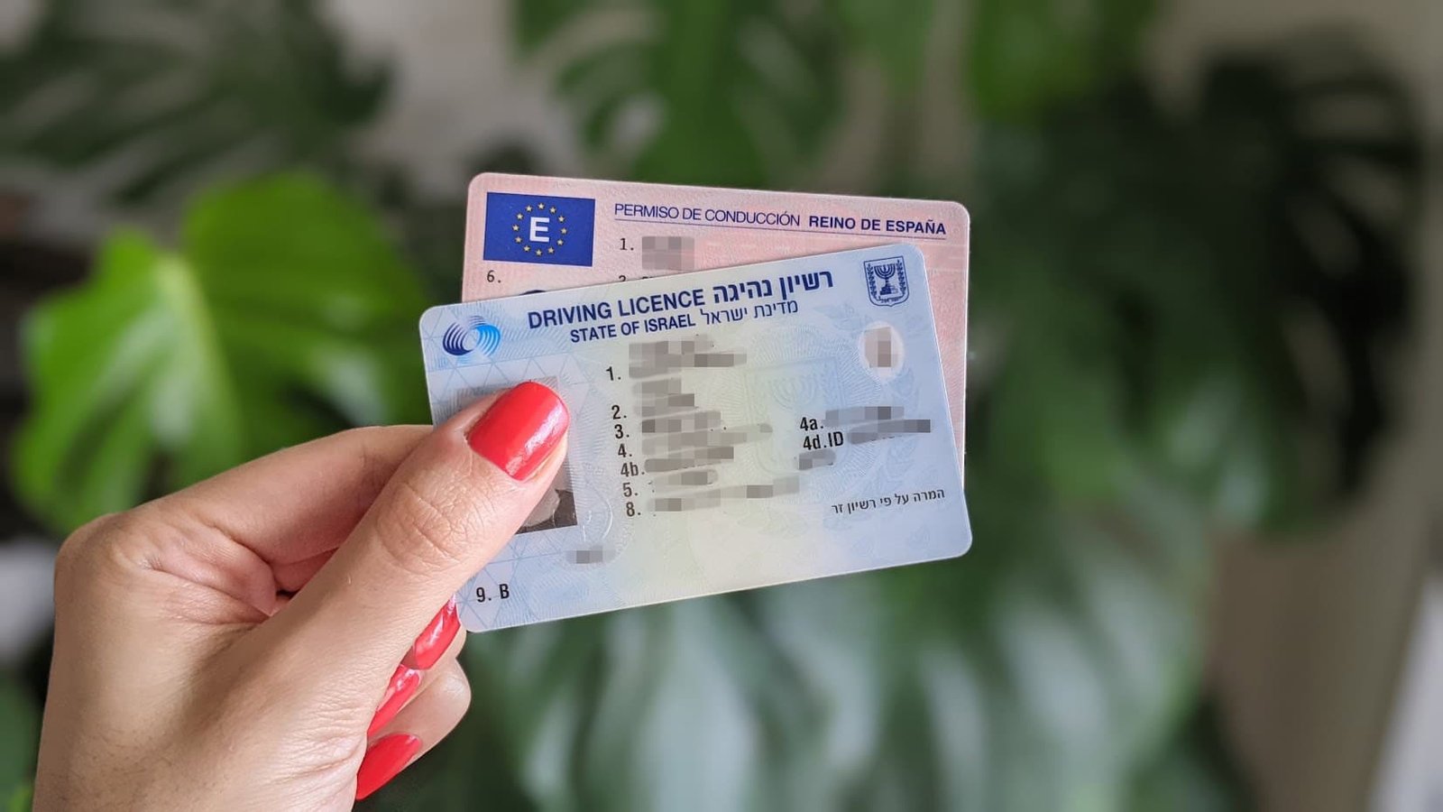 Buy Israeli Driving License Hassle-Free:  A Complete Guide