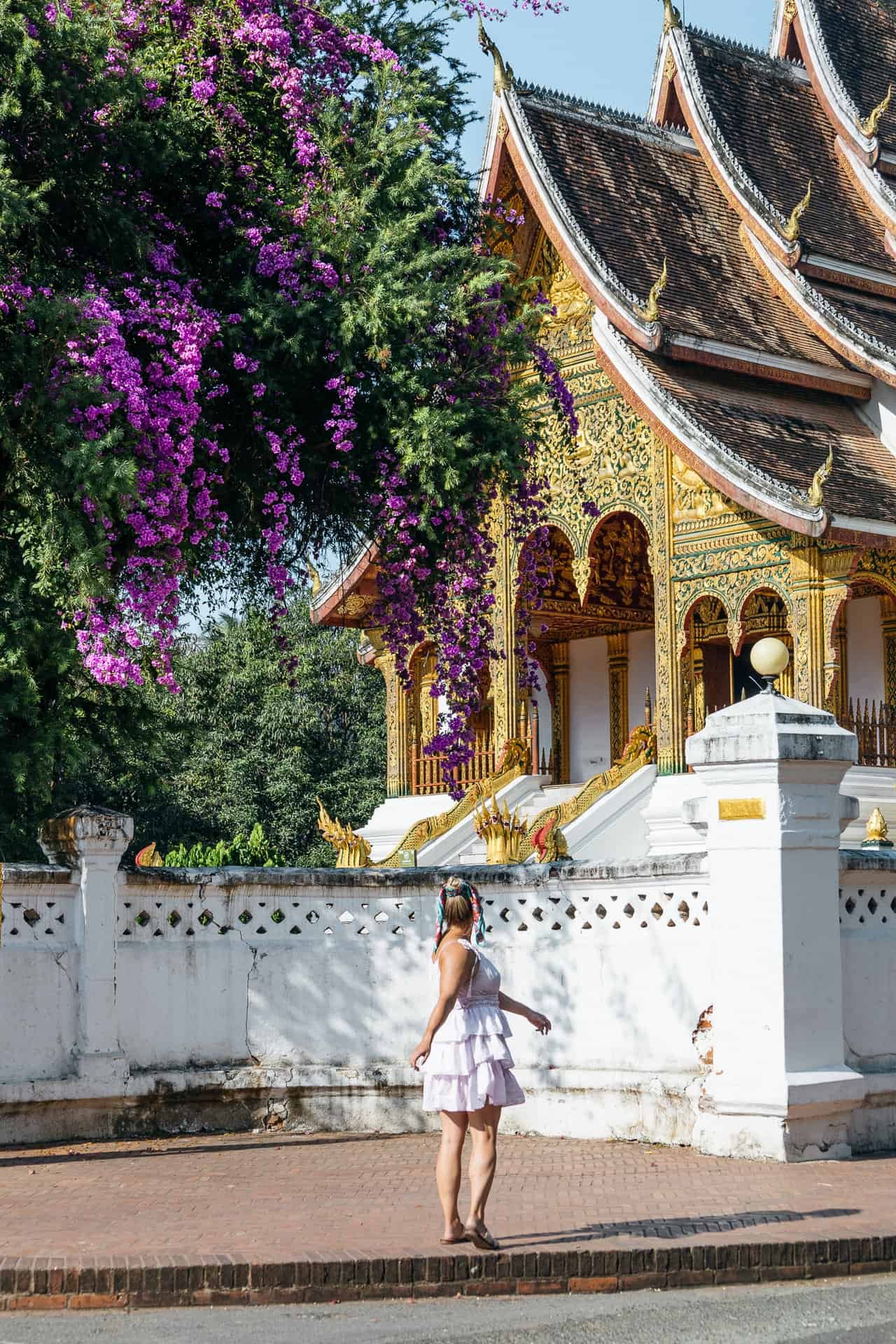 Thinking to Buy a Laos Passport? Check this Ultimate Guide First