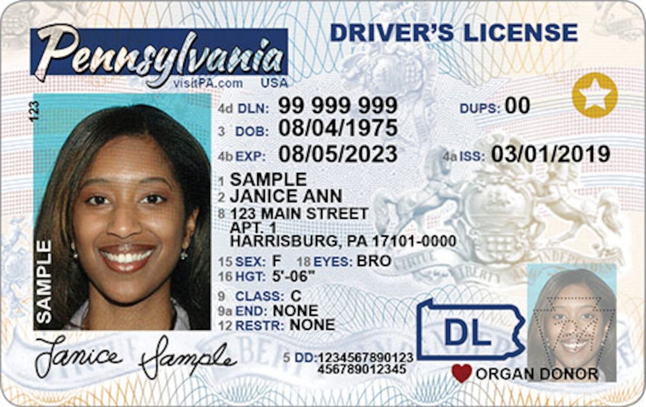 Looking to Order Guatemala Drivers License Online? Heres How